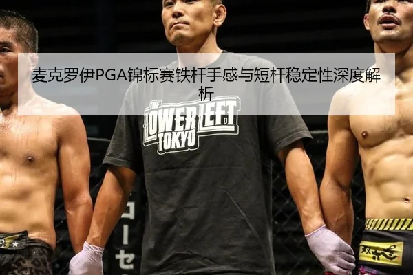 mai-ke-luo-yi-jin-biao-sai-tie-gan-shou-gan-yu-duan-gan-wen-ding-xing-shen-du-jie-xi-2-712.jpg